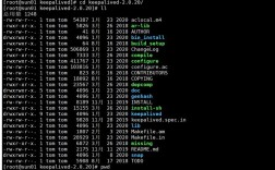 Nginx搭建Web服务器，关键步骤有哪些？
