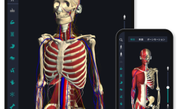 3dbody解剖电脑版怎么用？