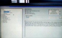 Dell服务器U盘启动失败怎么办？