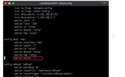 路由为何不启用DHCP服务器？
