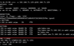 Linux配置Apache服务器步骤有哪些？