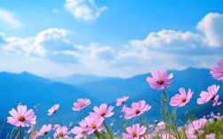 1920x1080电脑高清壁纸哪里找？