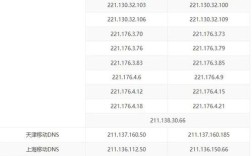 DNS服务器地址与IP地址有何关联？