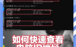 如何查询服务器IP地址？
