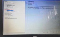 Dell服务器U盘装Linux系统步骤有哪些？