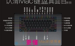 苹果电脑的alt键在哪里？