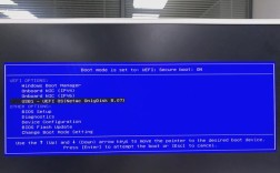 dell服务器系统做raid