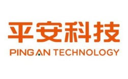 龙兵科技网站建设有何独特优势？
