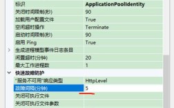 IIS服务器应用程序不可用怎么办？