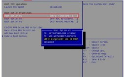 电脑蓝屏后如何用U盘重装系统？