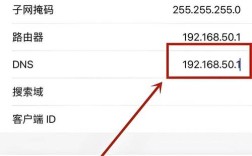 如何ping DNS服务器？