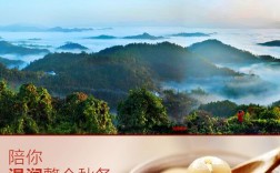 呼和浩特网站制作公司哪家好？