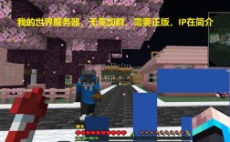Minecraft服务器IP怎么查？