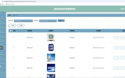 完美政府网站管理系统如何提升政务效能？