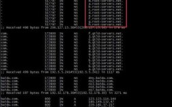 Ubuntu VPN服务器搭建如何操作？
