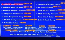 如何进入IBM服务器BIOS设置界面？