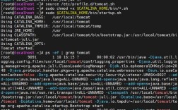 Linux启动Tomcat服务器有哪些关键步骤？