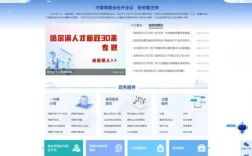 政府网站功能特色如何体现？