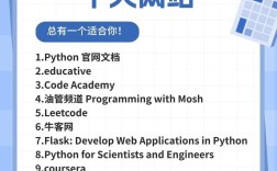 Python如何助力网站建设？