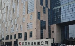 石家庄手机网站建设公司