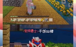 我的世界电脑版如何联机？