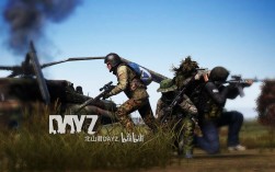 Dayz独立版盗版服务器能用吗？