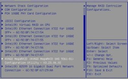 dell服务器如何配置raid