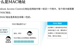 dhcp服务器的mac地址