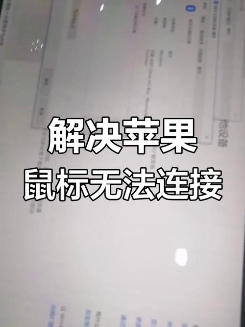 iPhone连电脑照片不显示咋办？-图2