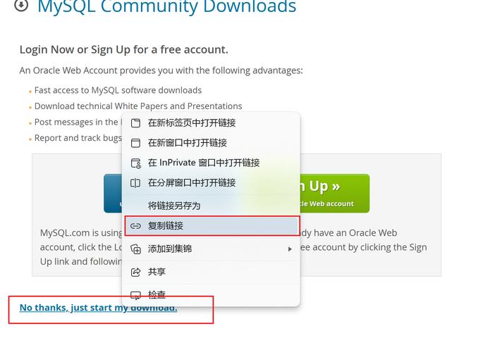 Linux安装MySQL数据库服务器步骤详解？-图3