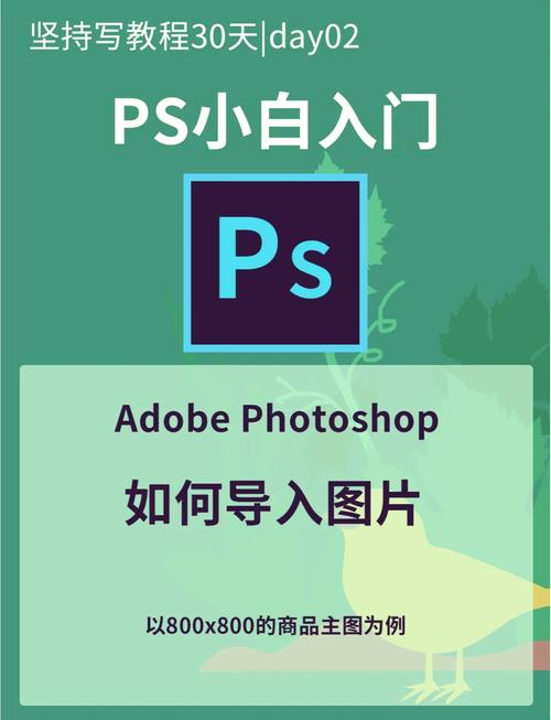 Photoshop电脑版哪里安全下载?-图2 Photoshop电脑版哪里安全下载?-图2
