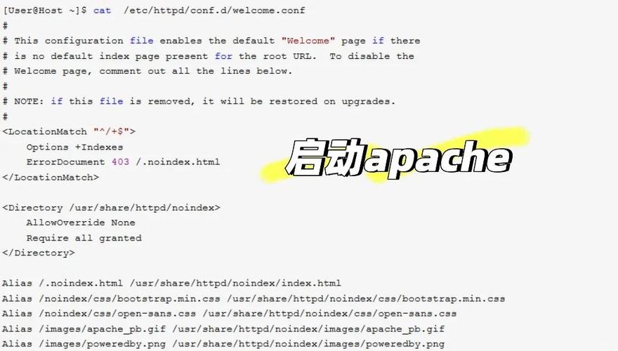 Apache Linux服务器搭建步骤详解?-图1 Apache Linux服务器搭建步骤详解?-图1