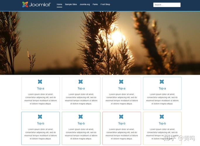 Joomla模板如何选择？-图1
