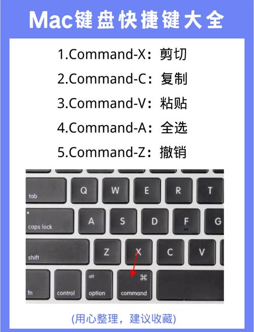 苹果电脑复制粘贴快捷键是哪个?-图2 苹果电脑复制粘贴快捷键是哪个?-图2