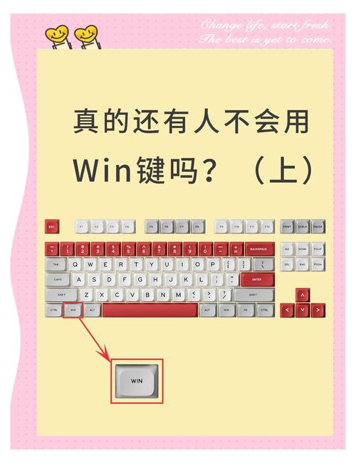 Windows键在电脑键盘的哪个位置？-图1