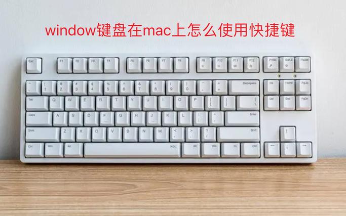 电脑的windows键是哪个-图3 电脑的windows键是哪个-图3