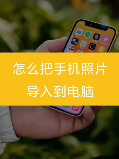 怎样把手机里的照片传到电脑里-图1