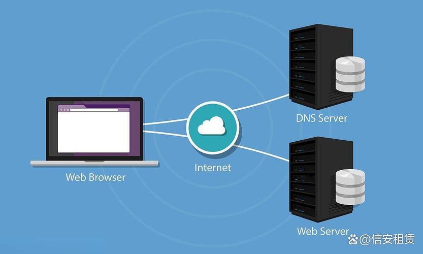 server2008 dns服务器-图2