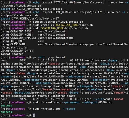 Linux启动Tomcat服务器有哪些关键步骤？-图1