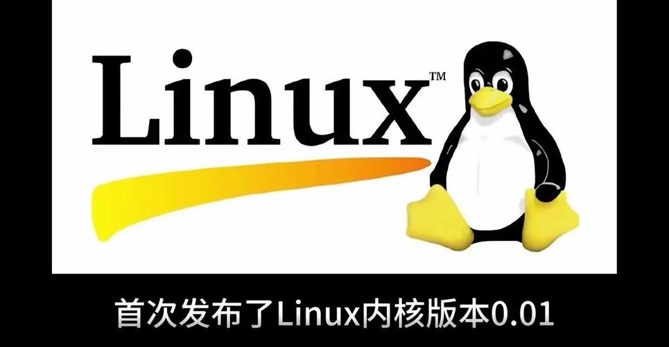 老段带你学鸟哥linux服务器篇,如何高效掌握?-图3 老段带你学鸟哥linux服务器篇,如何高效掌握?-图3
