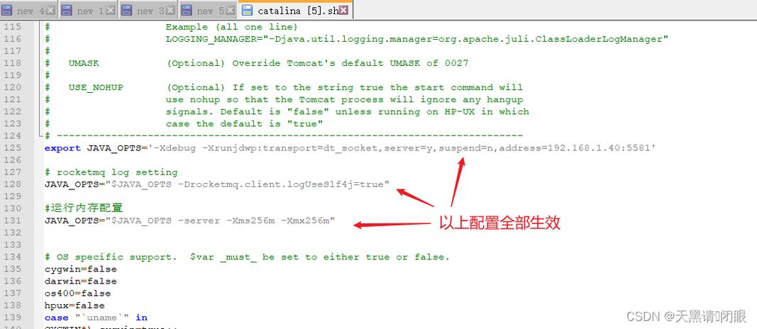 Linux Tomcat服务器配置步骤有哪些？-图1