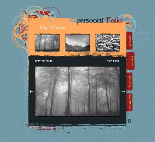 个人网站模板flash还值得用吗？-图3