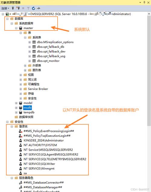 如何查看SQL Server服务器属性?-图2 如何查看SQL Server服务器属性?-图2