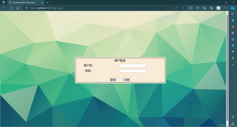 ASP.NET网站安装步骤有哪些？-图2