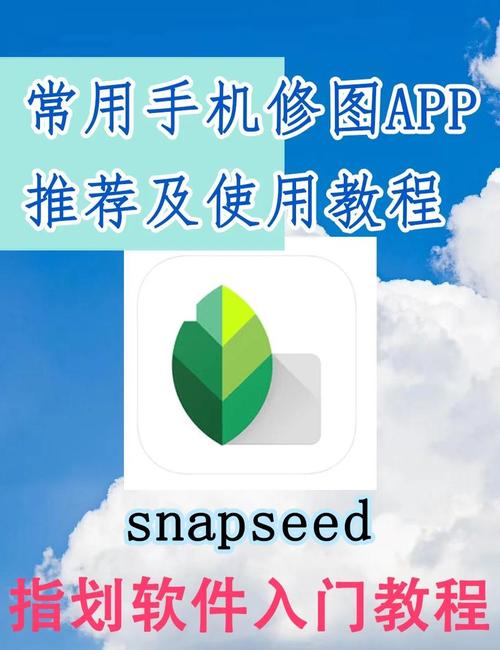 snapseed电脑版下载-图1 snapseed电脑版下载-图1