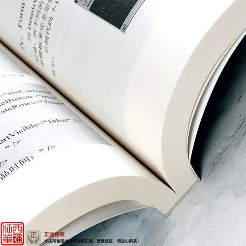 NET网站开发实例有哪些核心步骤?-图2 NET网站开发实例有哪些核心步骤?-图2