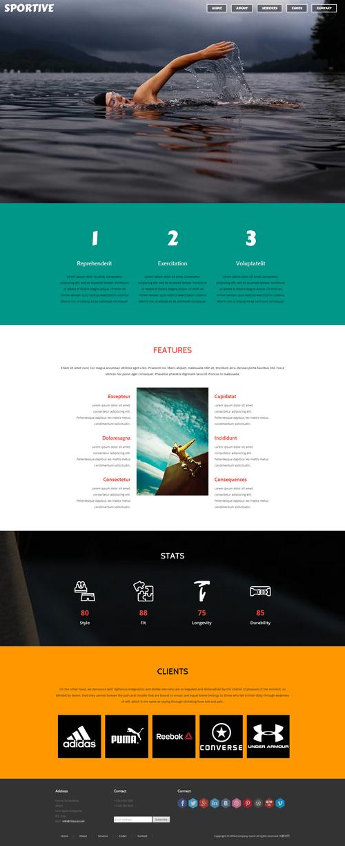 phpcms网站模板如何快速搭建与优化?-图2 phpcms网站模板如何快速搭建与优化?-图2