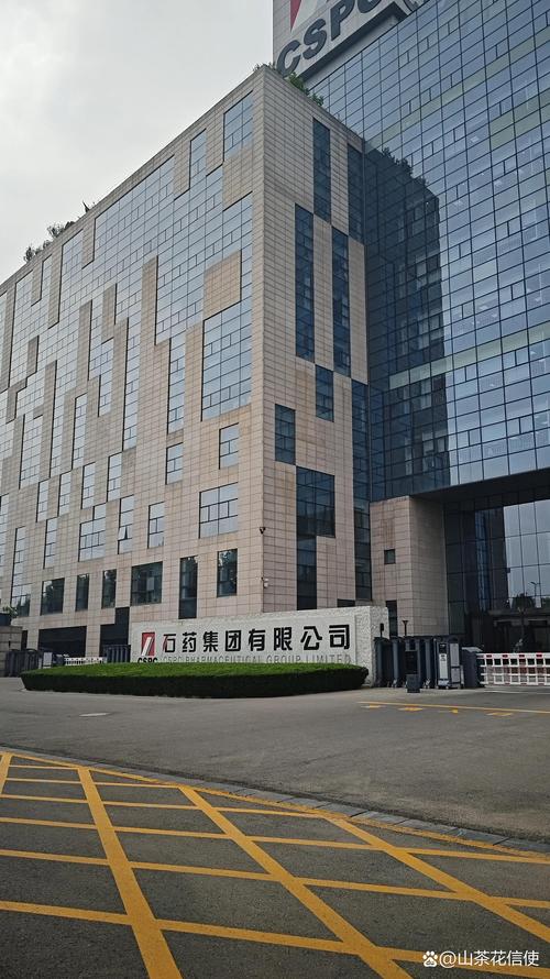 石家庄手机网站建设公司-图1