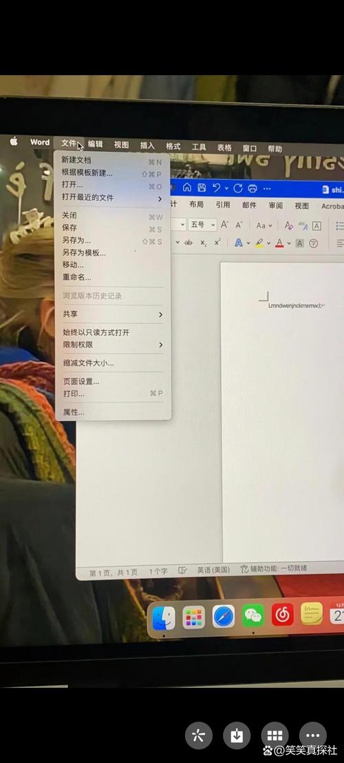 苹果电脑Office怎么用？-图2