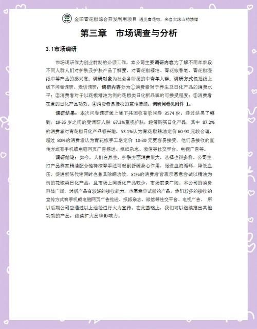 电商网站建设规划书的核心要点是什么?-图3 电商网站建设规划书的核心要点是什么?-图3